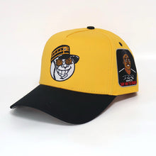 Load image into Gallery viewer, “CRACKED” DPC HAT
