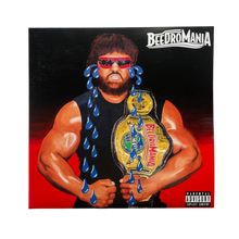 Load image into Gallery viewer, BEEDROMANIA VINYL - Lot #04
